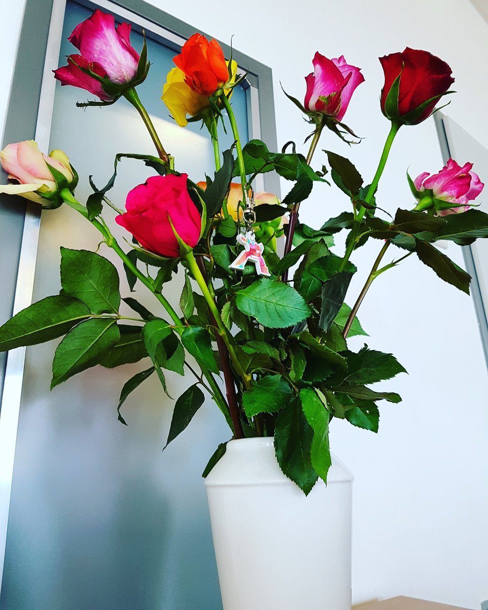 judylein's tweet photo. .@intershop Danke für die Rosen. 💐😄 @trvltransformer wünscht auch einen schönen und sonnigen #FRAUENTAG2018 #WomensDay #nicecolleagues #workworkwork #sunnyday #roses #Flowers #office https://t.co/j8wKFiPcis