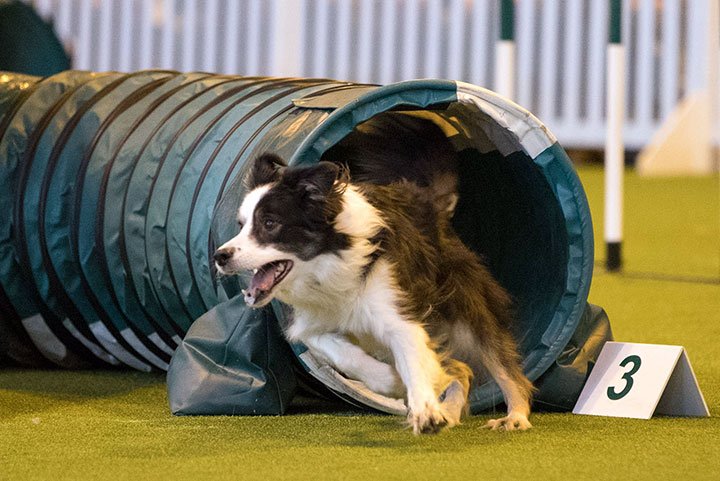 SVG Europe tweet media