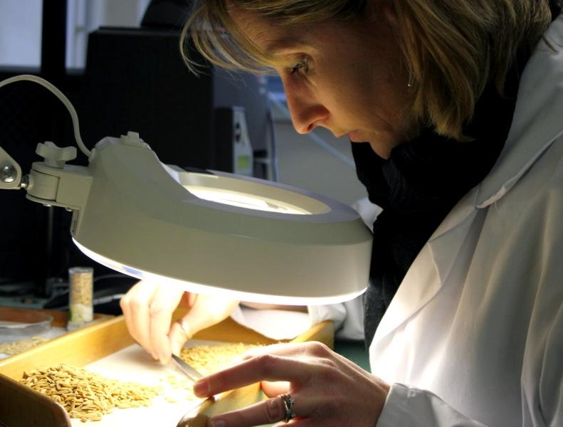 #8mars #JournéeDesDroitsDesFemmes #EgaliteFH 
Le Cirad prend collectivement un engagement fort relatif à l’#égalité professionnelle entre les femmes et les hommes dans l’établissement bit.ly/2FsR9jK