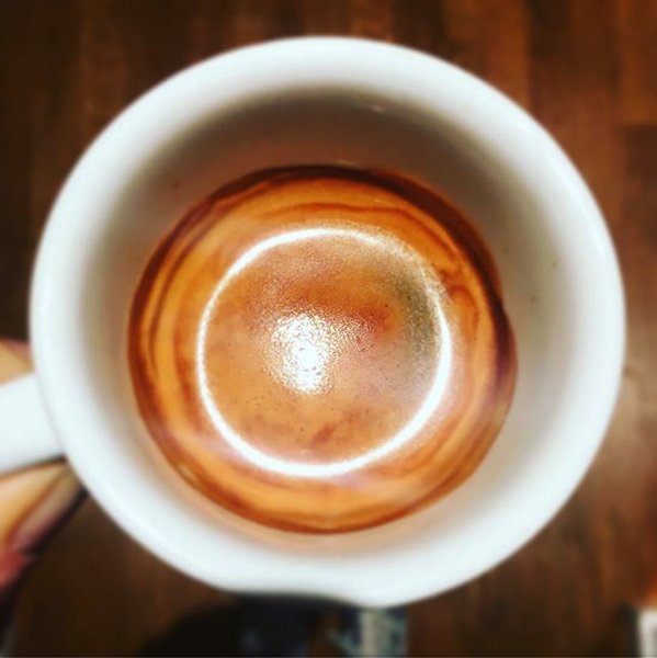 earlybird coffee tweet media