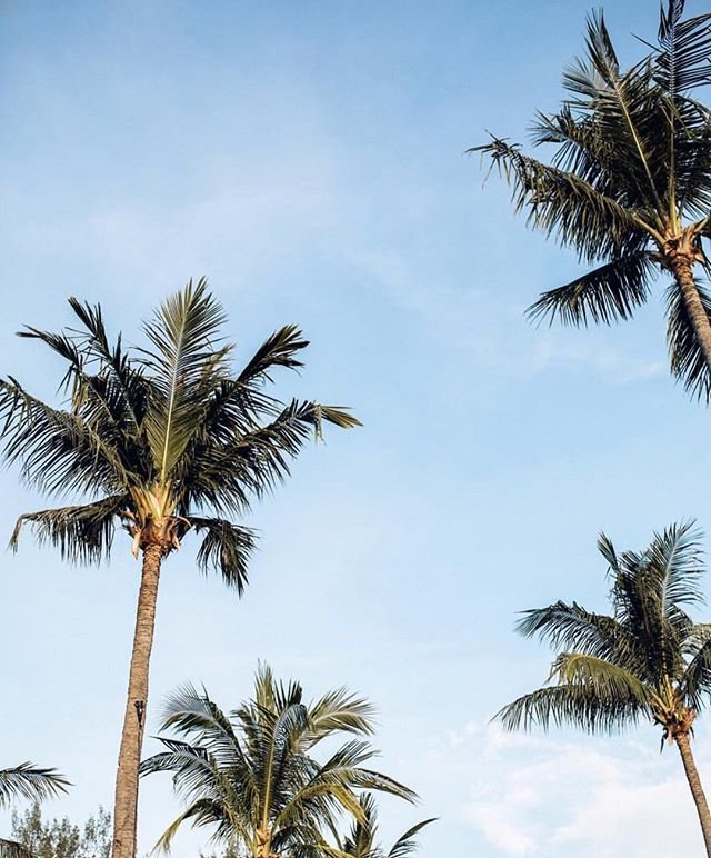 Here’s to the strong women
May we know them.
May we be them.
May we raise them.
•
#internationalwomensday
#H2coco #TheRealChoice