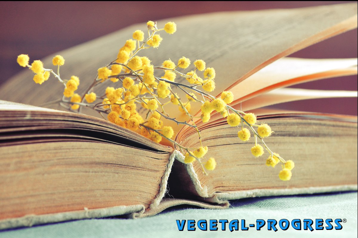 Vegetal Progress tweet media