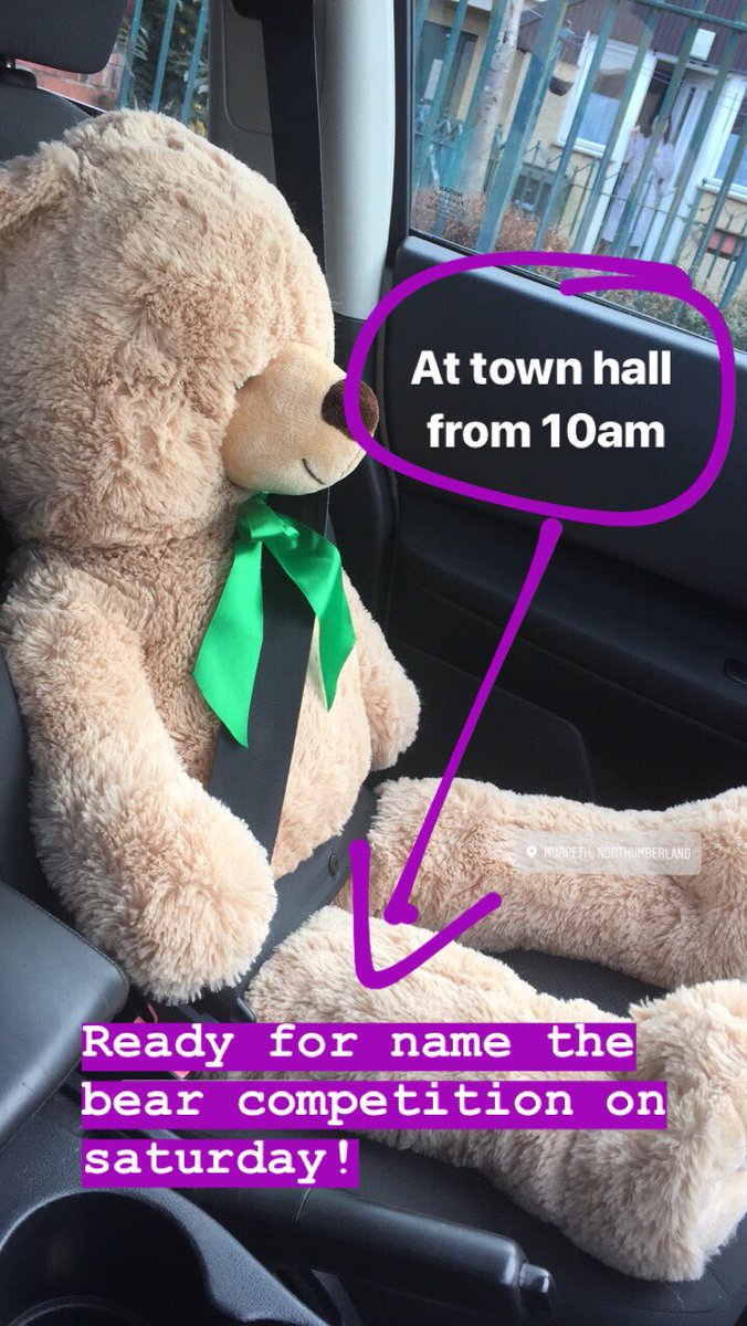 TeamMorpeth's tweet photo. Just collected our bear for Name the Bear - how cute is this!! #Morpeth 

Saturday 10th March from 10am https://t.co/bRgxxEnbQJ