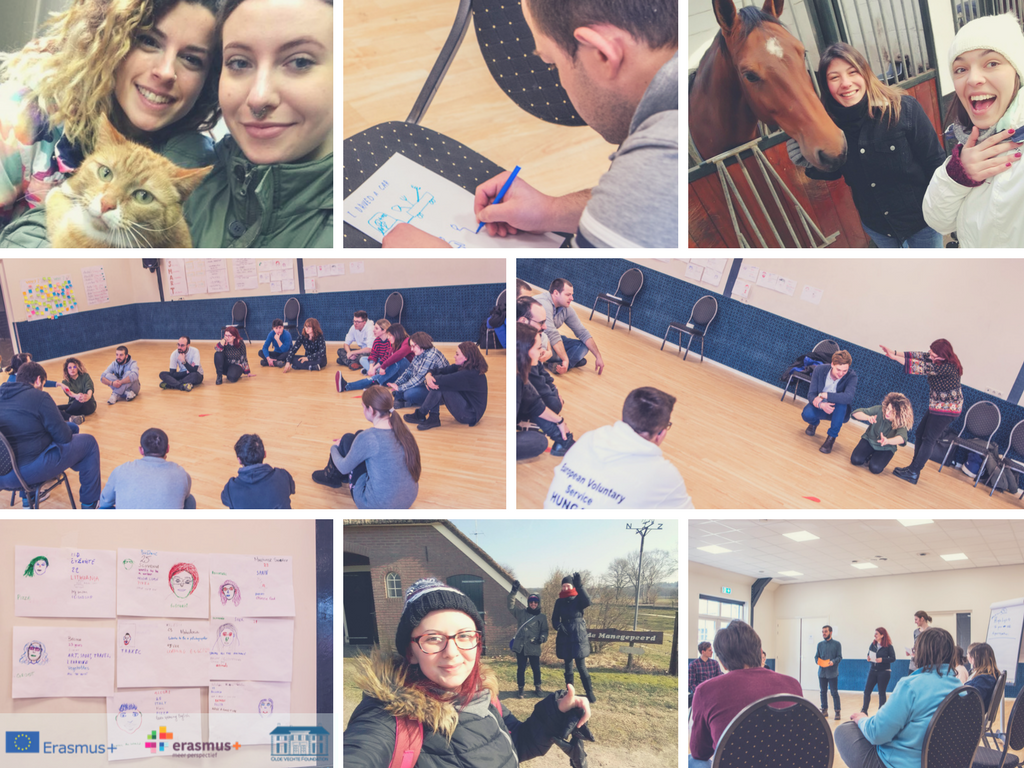 Olde_Vechte's tweet photo. Olde Vechte Foundation encourages Youth Employability, through its European Voluntary Service Projects.
Wider Horizon is the short term ... https://t.co/0RWlanjPEu https://t.co/7Vj0ftRo9T