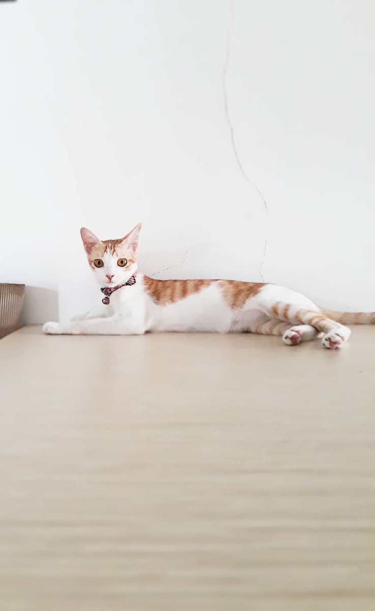 the leader of the most dangerous troublemakers