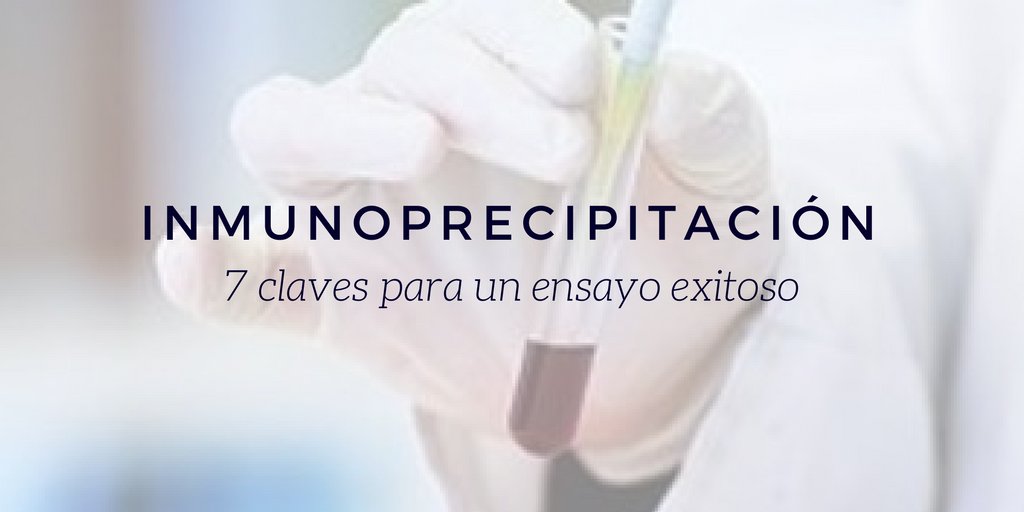 Abyntek's tweet photo. 📌#Inmunoprecipitación: 7 claves para un ensayo exitoso 👉🏼 https://t.co/OtF5TjRnaE https://t.co/LBoAL3hib3
