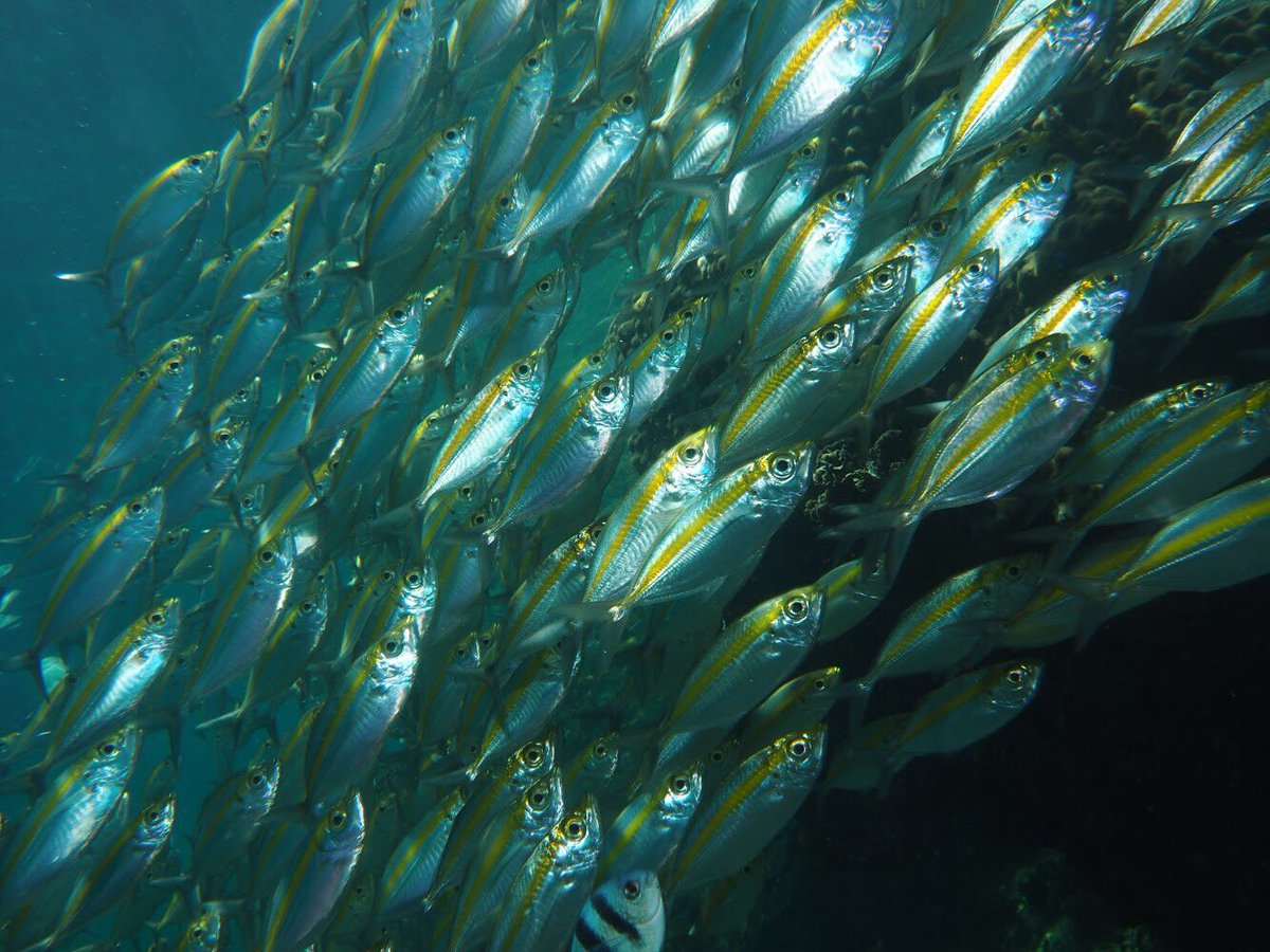 春から東京理科大学