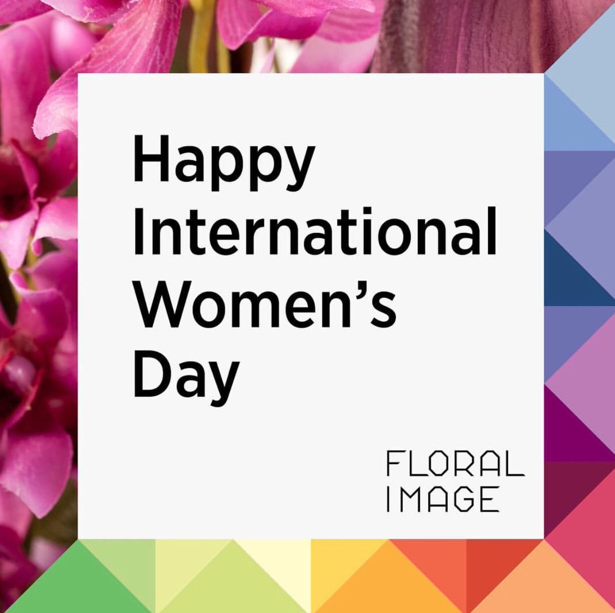 FloralImageEssx's tweet photo. Happy #InternationalWomansDay #iwd18 #floralimage 

We are a strong crew of women here at Floral Image Essex! https://t.co/8UgwMNpJ8J