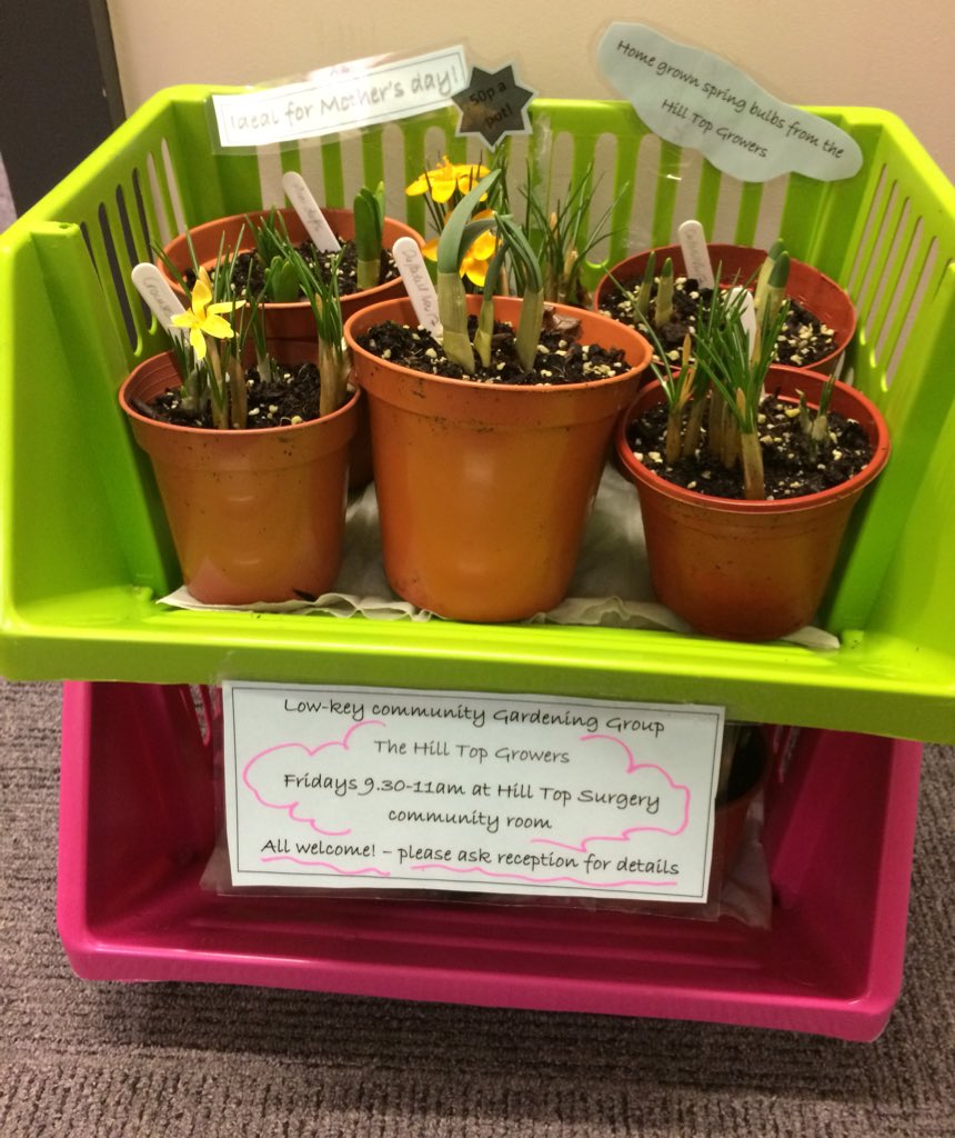 Hill Top Surgery tweet media