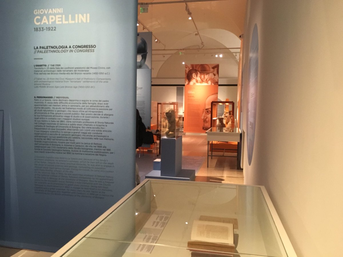 AmaMusei's tweet photo. Uno sguardo dalla #mostra Ritratti di famiglia https://t.co/ACeZpWHk1e