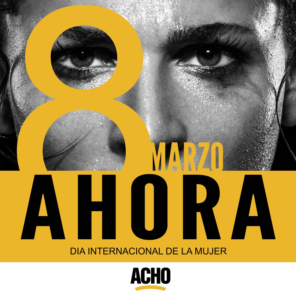 ▶️¡Ahora es el momento! ▶️#DíaDeLaMujer #DiaInternacionalDeLaMujer  #8Marzo #AchoqueBueno 🔹instagram.com/p/BgD1axmAqwo/