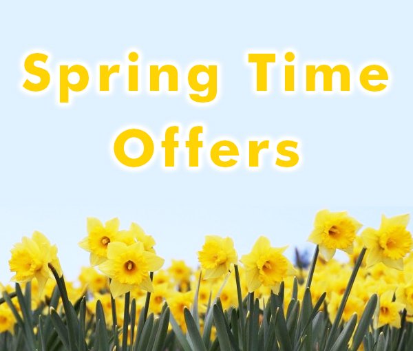 SPServicesUK's tweet photo. With lots of fun Easter events coming up soon, we have got some SPECIAL OFFERS to help replenish your stock 🐣🌷👉 - https://t.co/cVfucBxIzn https://t.co/btwMPVf1KP