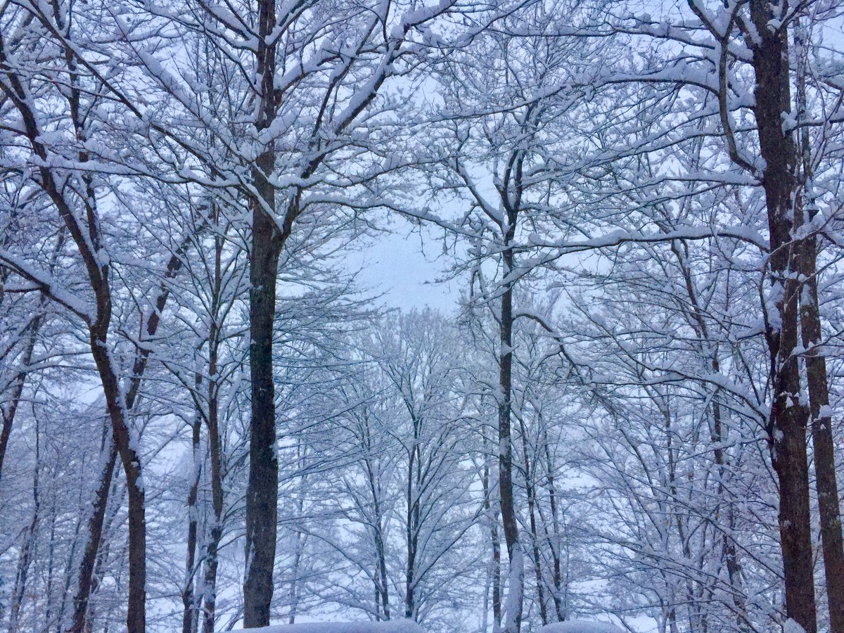 rjakober's tweet image. #Ilovevermont in the winter! #quechee