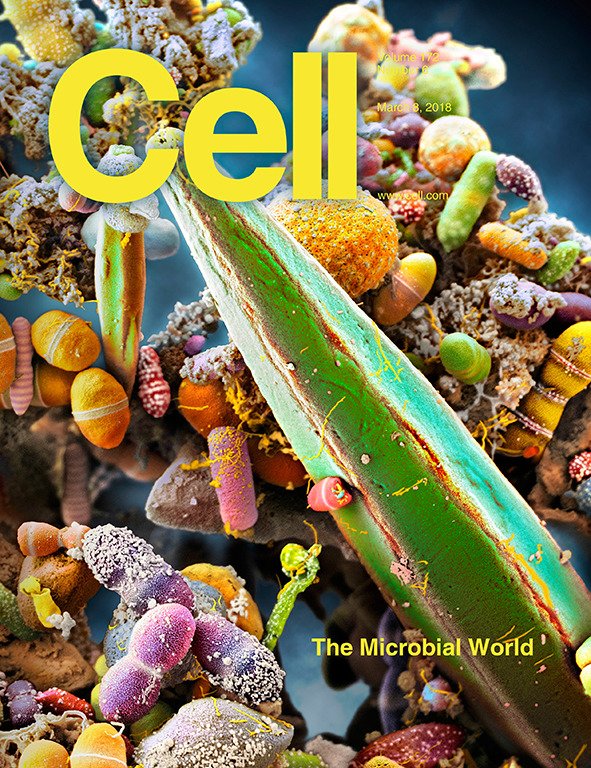 CellCellPress's tweet image. Presenting our 2018 Special Review issue: The #Microbial World: cell.com/cell/current #bacteria #viruses #antibiotics #microbiome #CRISPR #microbiology #flu &amp;amp; more!