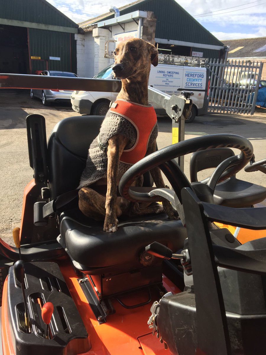ohmowerservices's tweet photo. Helping hand in the workshop today, he’s on quality control check @KubotaUK https://t.co/JLPvWaTqxt