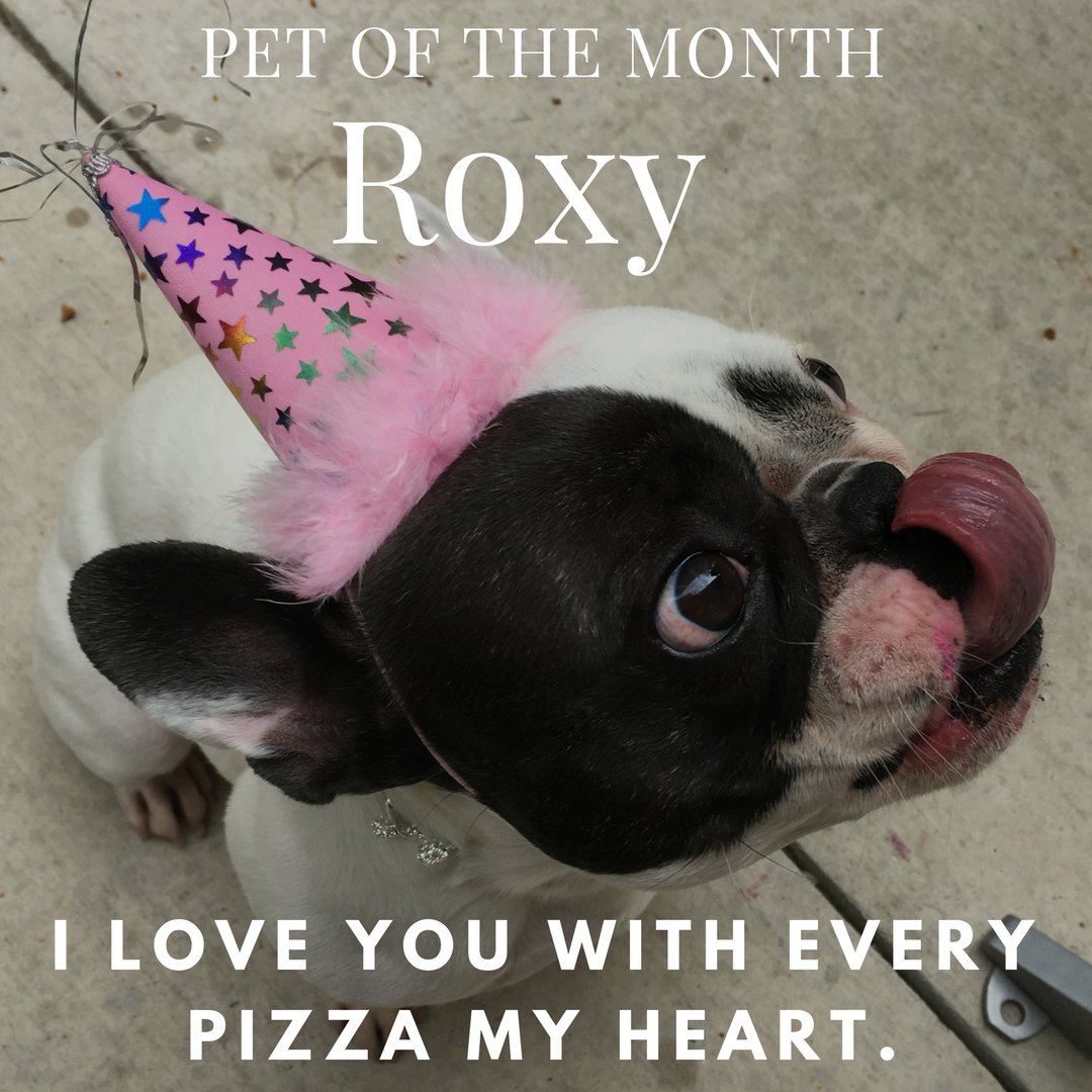 #CrestviewCommons #celebrates #petappreciationmonth with this cutie, Roxy, as our pick for #PetOfTheMonth ! Submit your pet pics for a chance to be featured next month!