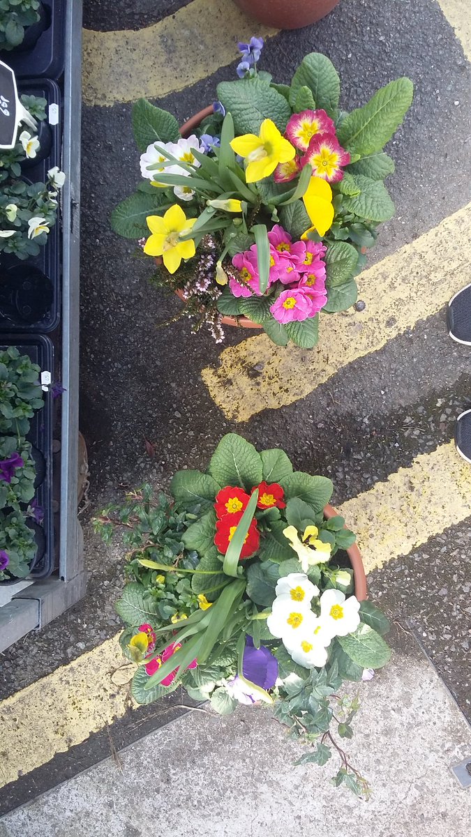 Mother's day gift idea!! 
We have some lovely planted pots! Priced between £10 and £15.