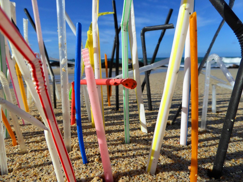 The #FinalStraw can't come quick enough for me - picked up 122 already this week 😢<a href="/wearefinalstraw/">Final Straw UK</a> <a href="/Cornish_PPC/">CornishPPollutionC</a> <a href="/CleanCornwall/">Clean Cornwall</a> <a href="/finalstrawcorn/">Final Straw Cornwall</a> <a href="/sascampaigns/">Surfers Against Sewage</a> <a href="/Seasaver/">Blue Planet Society</a>