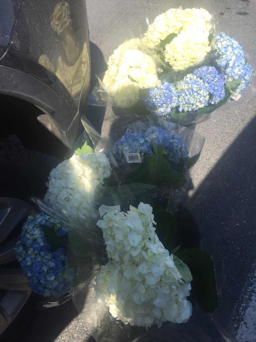 ScottiSays's tweet photo. Car full of flowers = catering perks. https://t.co/3i6Xtoshff