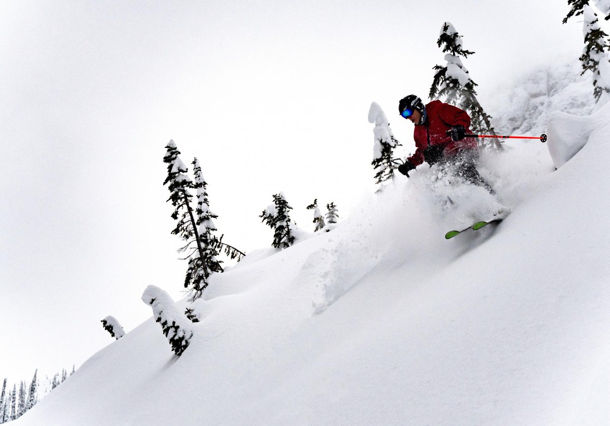 IAmASnowSeeker's tweet photo. Home to one of the largest skiable areas in the world, the Powder Highway has endless opportunities for you to enjoy deep Champagne snow. https://t.co/Ysf2Ixn96r #ExploreBC #powderHighway @SkiFernie @HelloBC Photo: @MountainManCole https://t.co/0GflQrhcnl