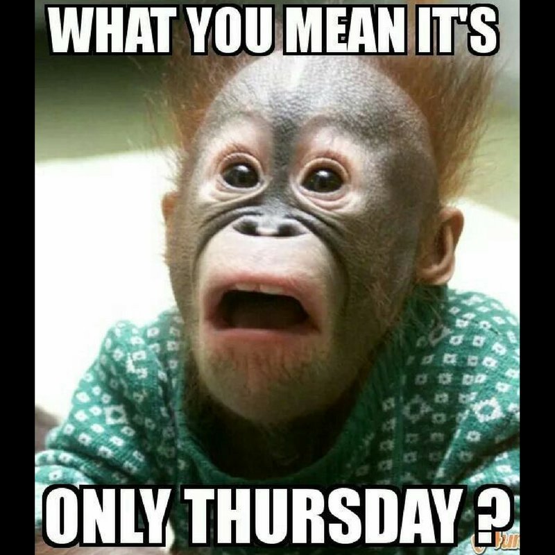 ChowGoferSj's tweet photo. Anyone else feel like this today? Brighten up your Thursday with your favorite food, delivered! #Thursday #ugh #eatlocal #jerseyfood #jersey #southjersey #chowgofer #chowgofersj https://t.co/yiZIAWcF9E