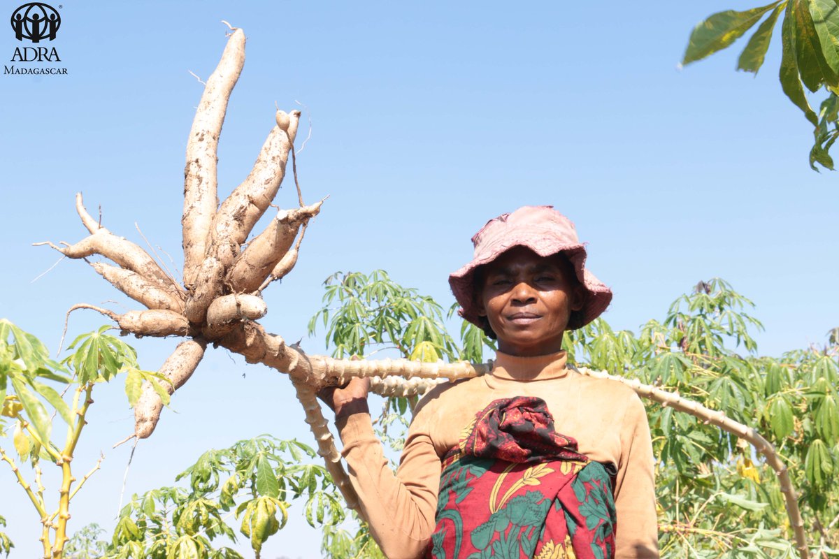 ADRAMadagascar's tweet photo. #ADRAMadagascar wants to pay tribute to women who tirelessly work to provide for their families, like this woman in southern Madagascar who grows cassava. Happy International Womens Day to all strong and courageous women. #InternationalWomensDay https://t.co/2PH9haXTR0