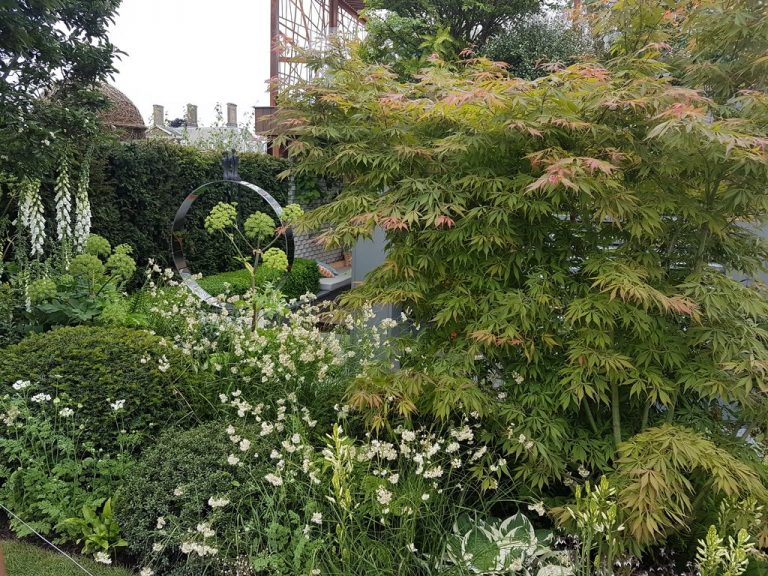 pumpkin_beth's tweet photo. Read my interview with Garden Designer Kate Gould and find out about the #GoldMedal and Best Fresh Garden Kate designed for the #RHSChelsea Flower Show here:
#internationalwomensday2018 #IWD2018 #PressforProgress #plants #urbangardening #urbangarden 
https://t.co/riW1pWSV4b https://t.co/PsGmIm8eK0