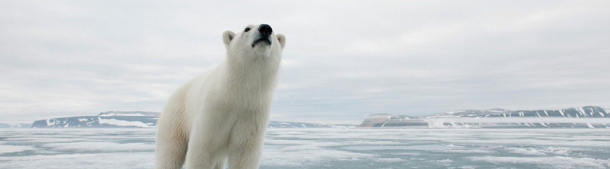 Looking for a running challenge? Check out the Project Polar 30k virtual challenge and pick up an awesome t-shirt. #RunForWildlife #Running #virtualrun #charity #ukrunchat #runchat etchrock.com/challenge/info…