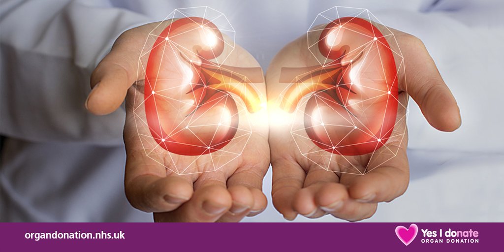 People who donate a kidney to a stranger can start a chain of three transplants but the number of people donating is dropping. This #WorldKidneyDay find out how you could transform a life as a living donor. organdonation.nhs.uk/livingdonation