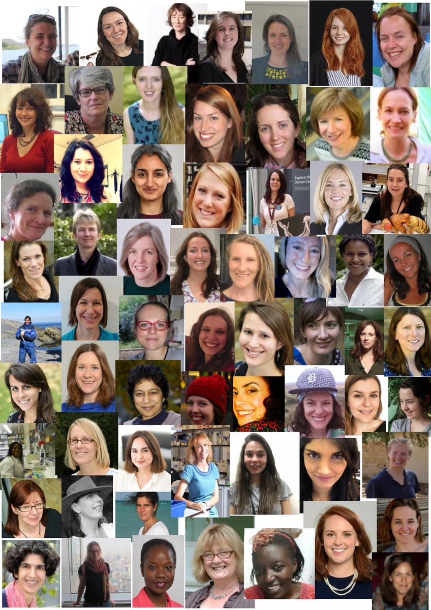 NTDResearch's tweet photo. Researchers at the forefront of efforts to #beatNTDs

#InternationalWomenDay2018 
#WomensDay #ntds

Check out their expertise @ https://t.co/6b0GizXztz https://t.co/ATufFDy5zg