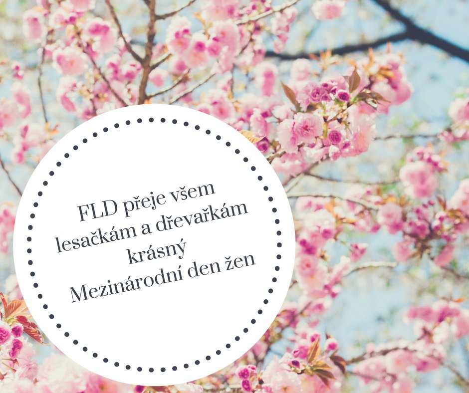 Happy International Women's Day.  🌺🌲