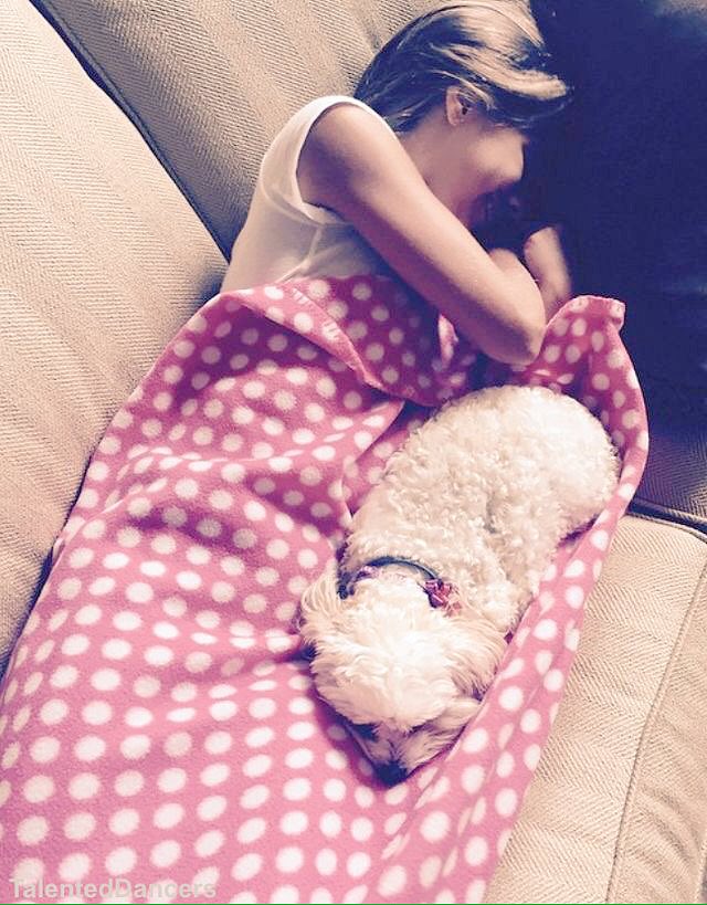 mailboo88's tweet photo. I'm so tired, why  did you wake me up this so early in the morning , I need my beauty sleep 🐶😔😞😪😴 https://t.co/c8iK4w6N3C