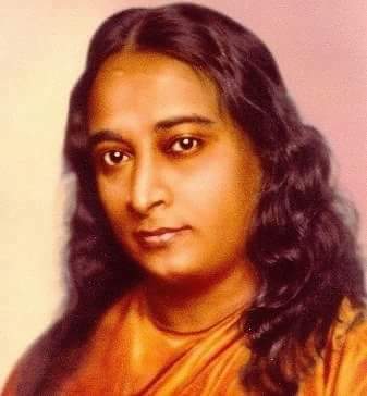 Anju Chandel tweet media