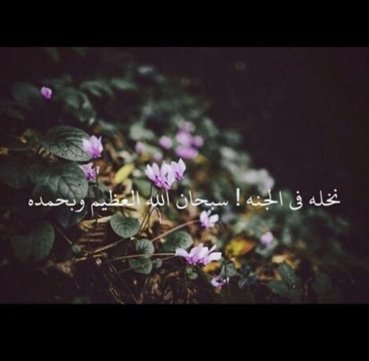 v6aDf4OKvsHO1Is's tweet photo. #ابراهيم_ناصر_المطيري .. https://t.co/lP8WNwCuox