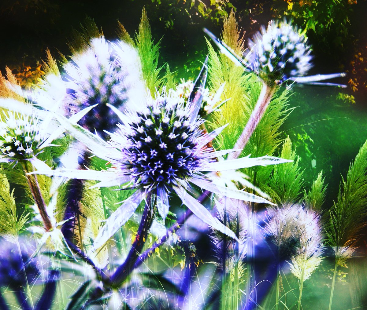 katelovestravel's tweet photo. If you like #photography I have just set up a new Instagram account... you can follow me at https://t.co/FPOWlYTkap #Abstract #abstractphotography #Photos #surrealist #extremeedits #abstractexpressionism #loveart https://t.co/jlwHF7Nm99