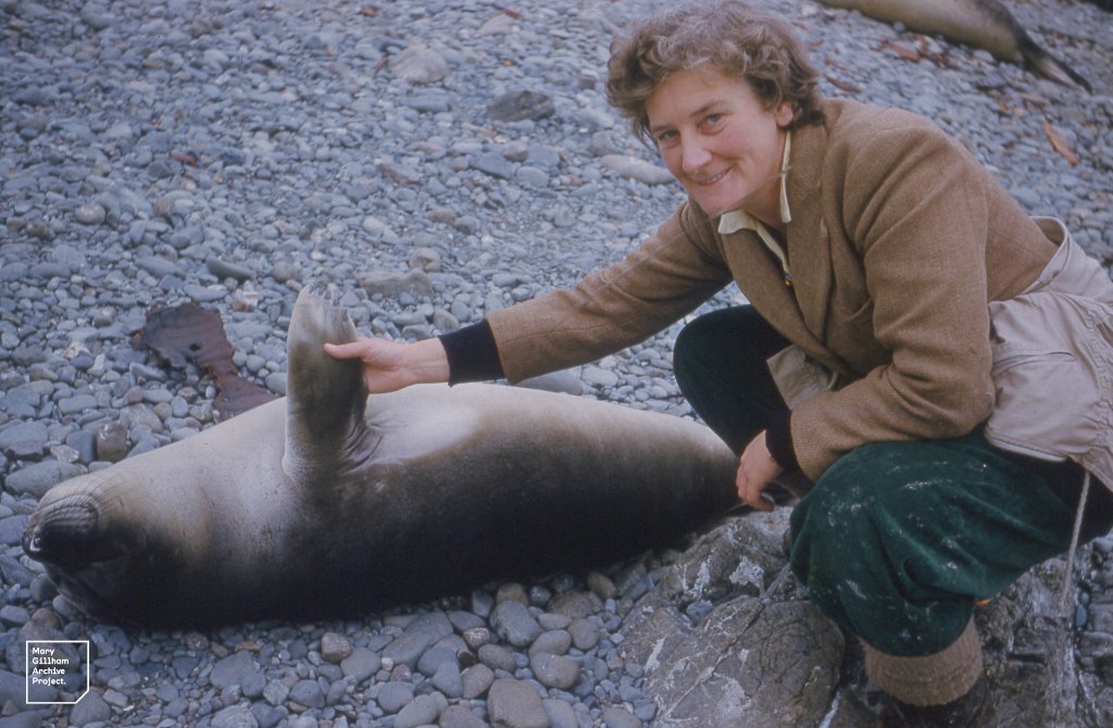 Mary's Island research took her to exotic places such as the Aldabra coral atoll in 1970 ow.ly/37HD50gEoUZ and Maquarie Island in 1959 ow.ly/iy5p50gEpkb #PressforProgress <a href="/womensday/">Women's Day</a> #IWD #IWD2018 #HLFsupported <a href="/AusAntarctic/">antarctica.gov.au</a> #Macquarieisland #Aldabra #Seychelles