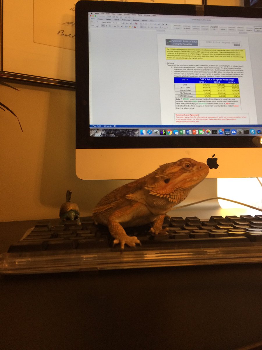viking_analytix's tweet photo. Axis the dragon is working on the #pricemagnet report. Cooler than cats? @StockCats https://t.co/Tl3W0OEgXC