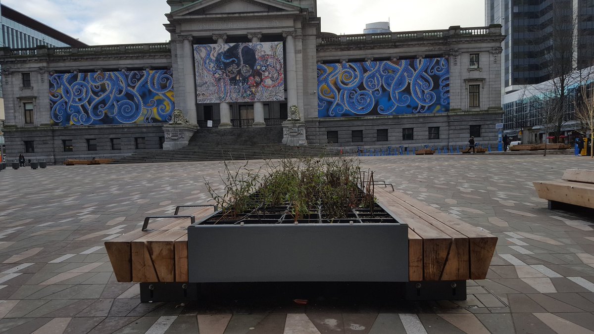 unpleasanting's tweet photo. In front of Vancouver Art Gallery, sleeping is possible, but skating is not! Very #pleasant benches @VanArtGallery https://t.co/CRU5pX4SMi