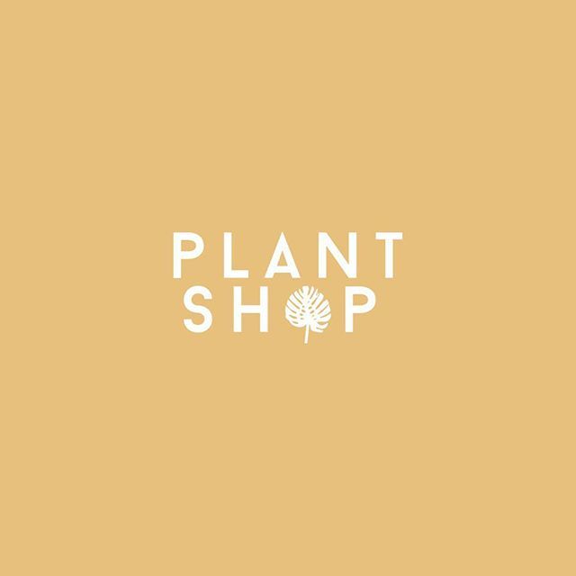 _catbyrne's tweet photo. I'm currently working with the fab @plantshopmanchester on a brand new website and I can't wait for the launch! Also obsessed with their existing branding 😍
•
•
•
#savvybusinessowner #beingboss #thenativecreative #onegirlband #minimaldesign #designst… https://t.co/Moh7GRk2mr https://t.co/t3PwCZDWhU