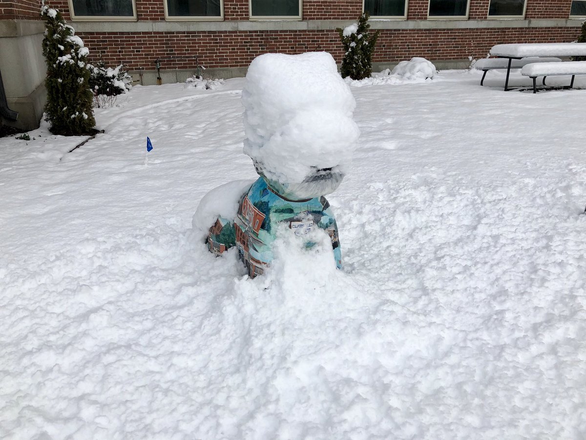 Will Reichelt tweet media