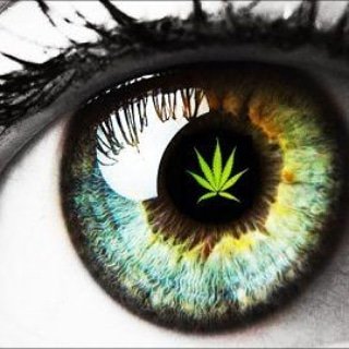 RSStrayer's tweet image. I see the future &amp;amp; it's all things hemp. Education is key! So many items used in everyday society that are harmful to people &amp;amp; planet can be replaced by this natural substance. Get on board!
#itshempening
#cbdforme 
#fromsoiltooil 
#mothernatureknowsbest
#godsmedicine
#duchesspmb