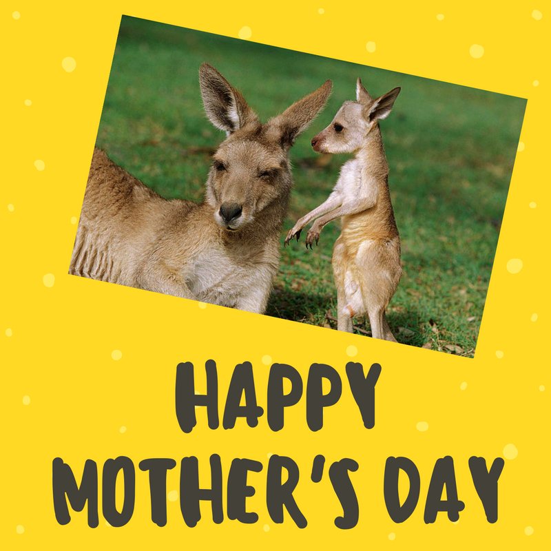 KangarooGlasgow's tweet image. This Mothering Sunday, treat your mother to the gift of space. 
You moved out years ago, now is the time to get a storage unit of your own and stop using her spare room for all your things.  Give our team a call on 0800 012 1528.  ow.ly/eRVN30iPgcs