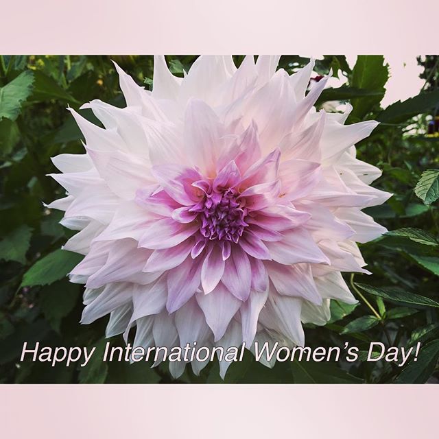 lux_flora's tweet photo. Happy International Women’s Day to all of the amazing, strong, and inspiring women that touch our lives in many ways. Luxflora is committed to developing a visionary, influential floriculture network where women leaders can thrive. https://t.co/0CAJ6hXEUr