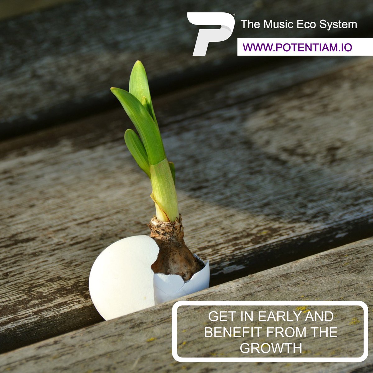 Potentiam has no borders. Get in early and get PTM tokens now. Potentiam.io #ICO #cryptocurrency #token #TokenSale #startup #Investors #crowdfunding #music #MusicBusiness
