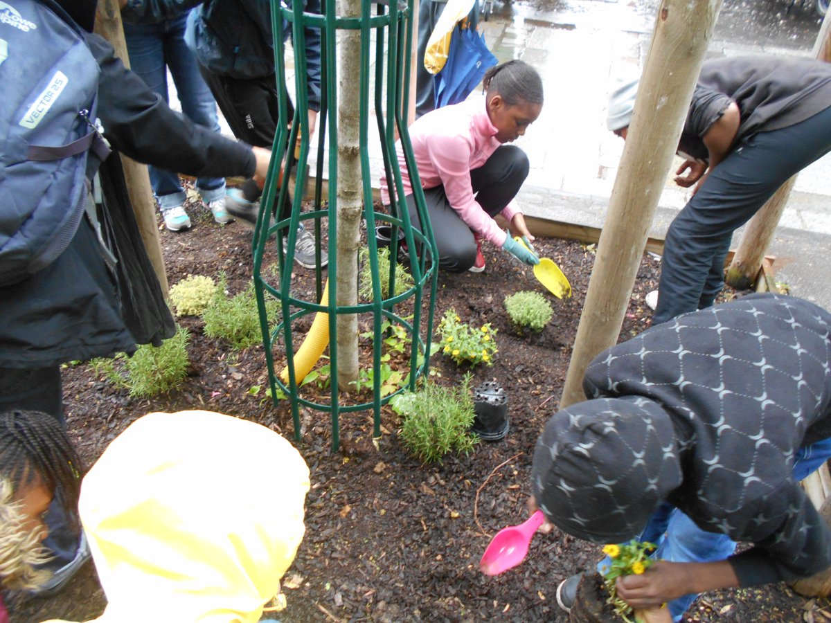 Biodiville's tweet photo. [Ressources] + de biodiversité pour mon quartier !
Des fiches #ressources téléchargeables gratuitement pour accompagner des #jeunes dans la découverte et la préservation de la #biodiversité locale 
https://t.co/hac7gtEB2E https://t.co/t1CxWuTavf