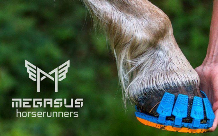eCHEVALcom's tweet image. À quelques jours des premières livraisons, focus sur cette chaussure  équine amovible destinée à remplacer le traditionnel fer à cheval echeval.com/news/131-megas… @Horserunners #cheval #chevaux #equitation #horse #Horses