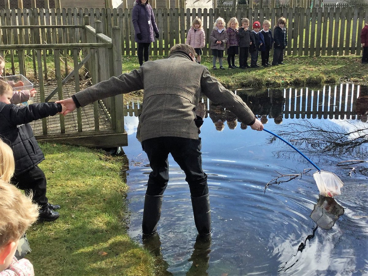 castleparksch's tweet photo. Thank you to the children in Early Years who helped to collect the rubbish from our pond.  We hope to see the frogspawn shortly. https://t.co/oRc0OA0Vih