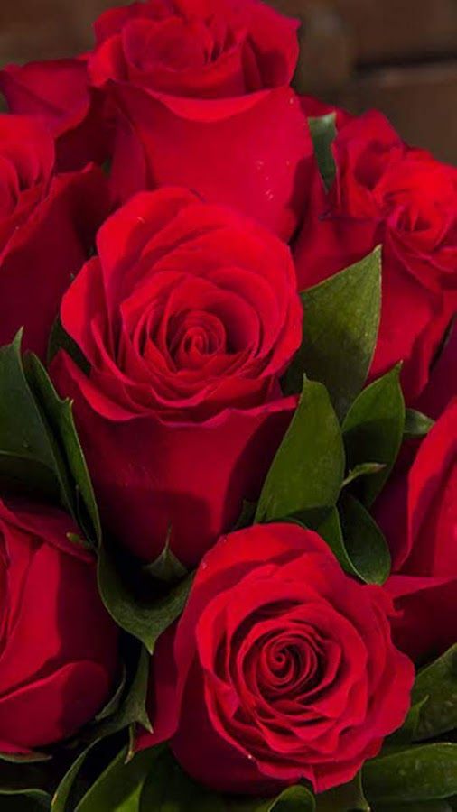 BlancaRojaZ's tweet photo. Si,...es nuestro día☀️
Y todos los días son nuestros...
para amar, sentir, sufrir, abrazar,
vivir y luchar por un mundo
más sensible y más justo.
Feliz día queridas amigas
de mi corazón...un abrazo inmenso
desde mi alma
🌹🌹🌹🌹🌹🌹🌹🌹🌹❤️
#FelizDiaDeLaMujer https://t.co/PLaJIo6kQF