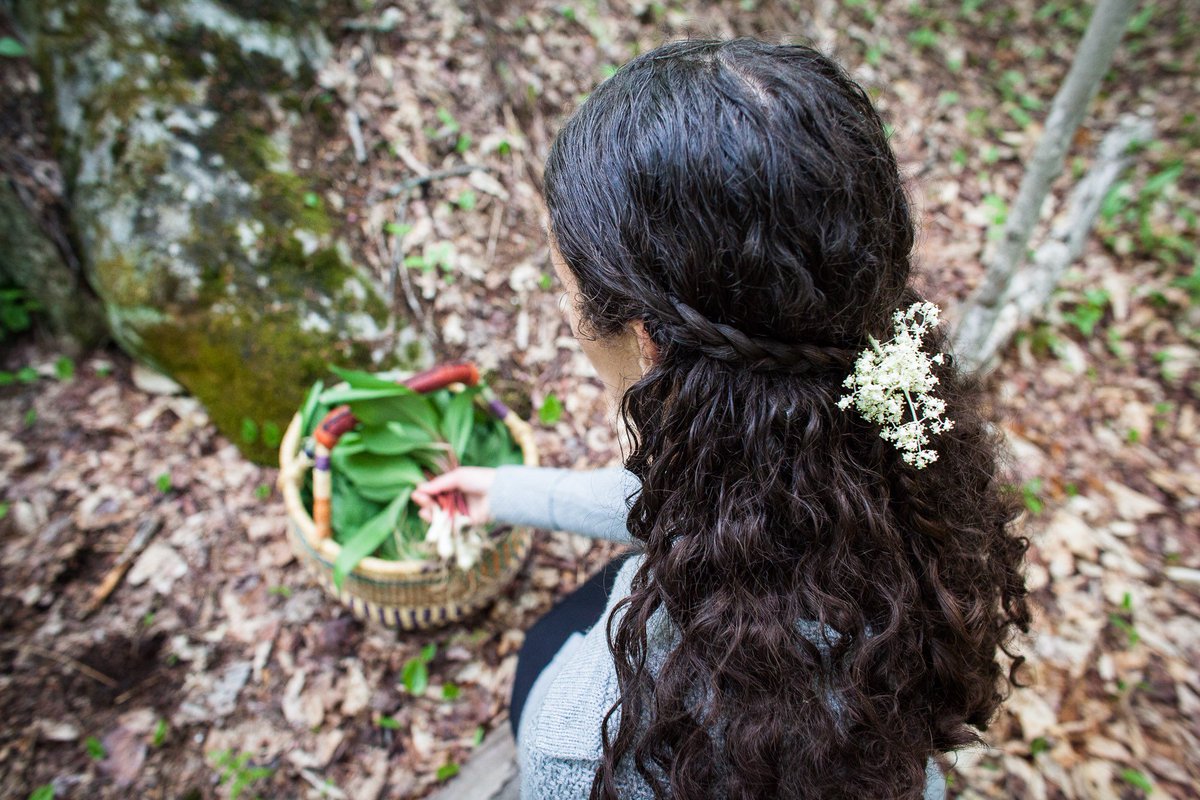 Dreaming of ramps, morels and other spring delights as we begin to post spring workshops to our website. Please stay tuned for additional spring events, as well as our summer and fall workshop schedule! #btv #vermont #wildcrafting #mushrooms themushroomforager.com/events/upcomin…