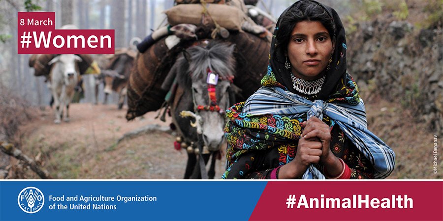 FAOLivestock's tweet photo. Access to education and financial opportunities key to empowering #pastoralist #women: Read the highlights of an all women panel at the #CFS44  https://t.co/iSA703pUEd #InternationalWomen’sDay #TimeIsNow https://t.co/vaMZeXKX6v